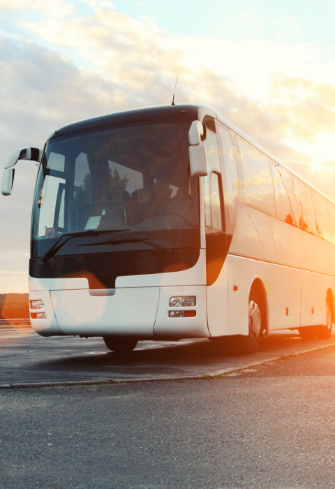 Chicotes Elétricos Para Indústria de Transporte